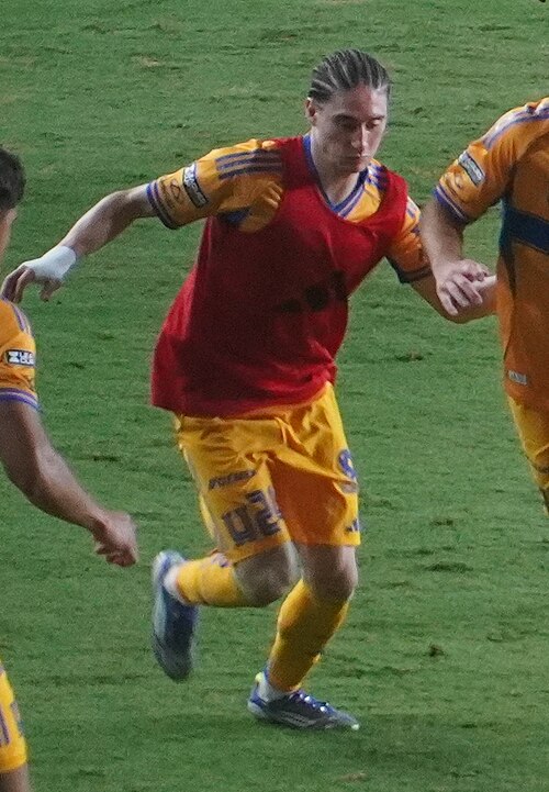 Marcelo Flores