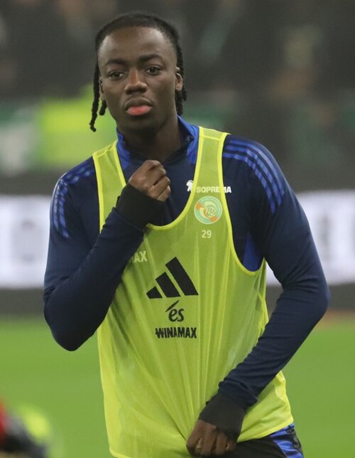 Ismaël Doukouré