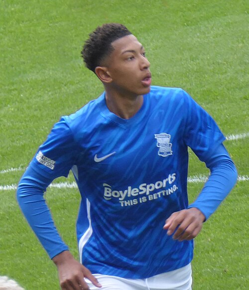Johan Bellingham