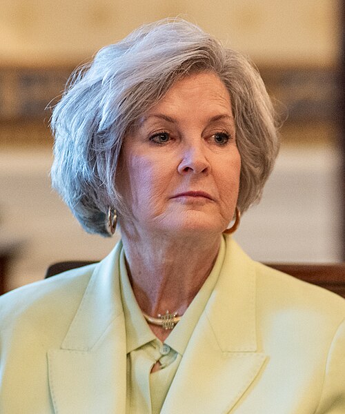 Susie Wiles