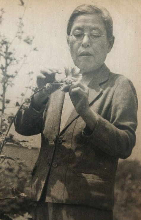 Yasui Kono