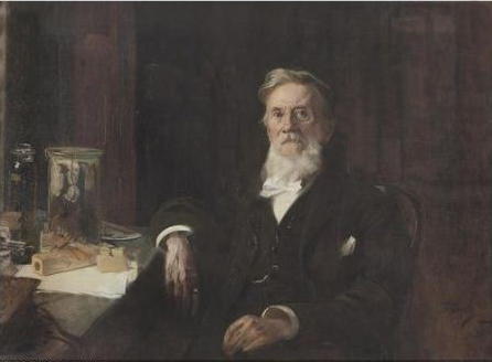 Carl Brunner von Wattenwyl