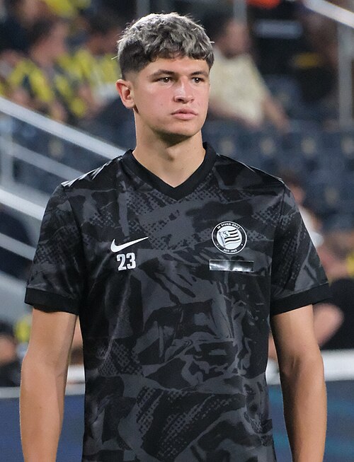 Arjan Malić