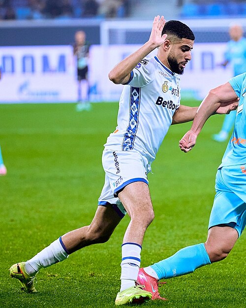 El Mehdi Maouhoub