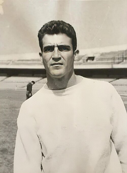 Raúl Cárdenas