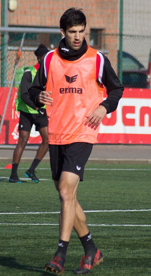 Nikola Gulan