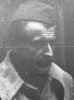 Skender Kulenović