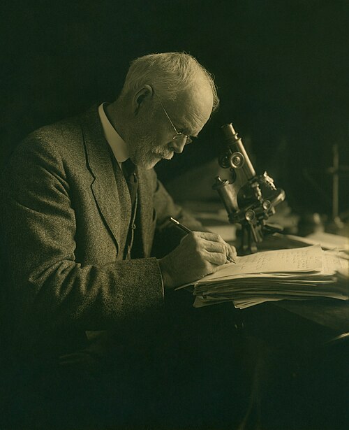 Edmund Beecher Wilson