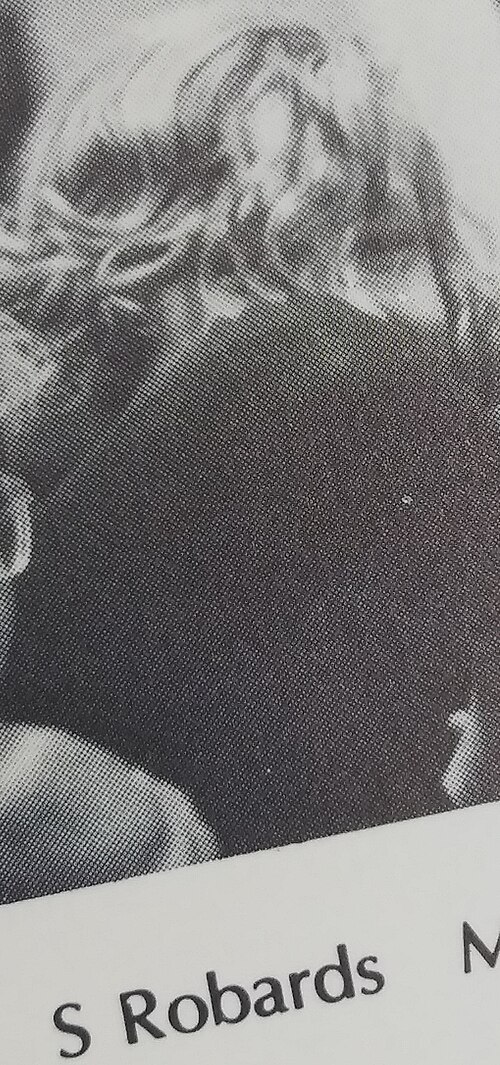Sam Robards