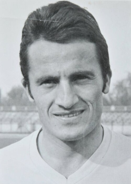 Mihai Ivăncescu
