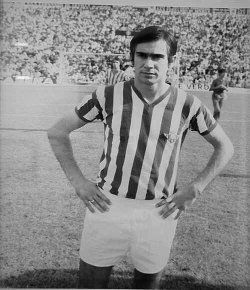 Julio Cardeñosa