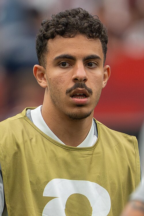 Ayoub Al-Oui