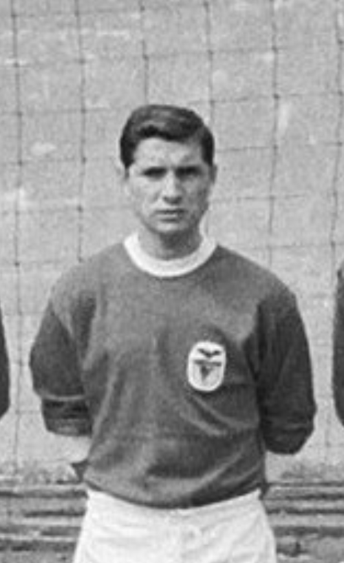 Fernando Cruz