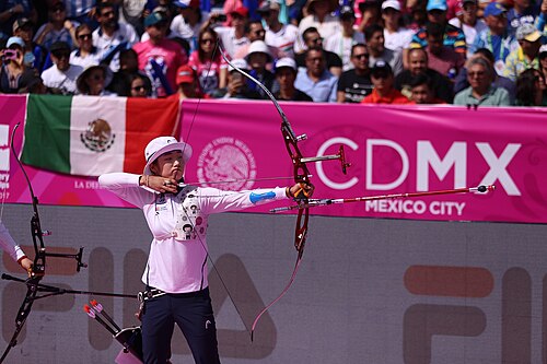 Choi Mi-sun