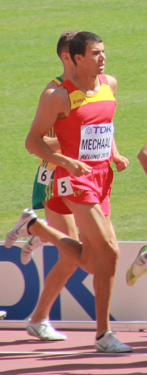 Adel Mechaal