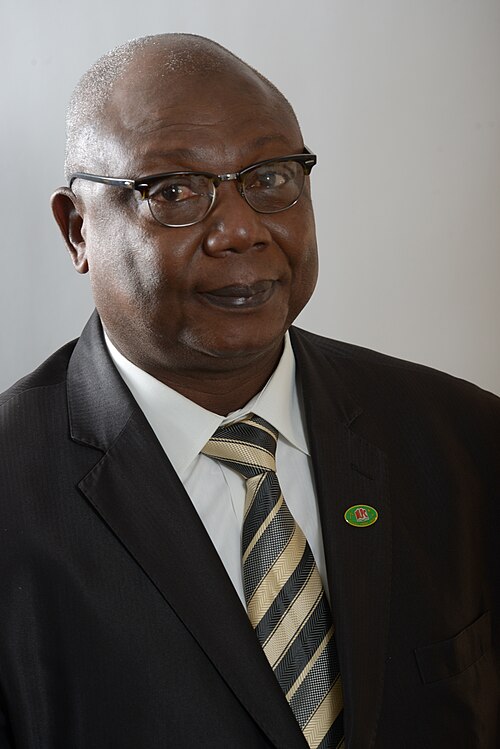 Martin Ziguélé