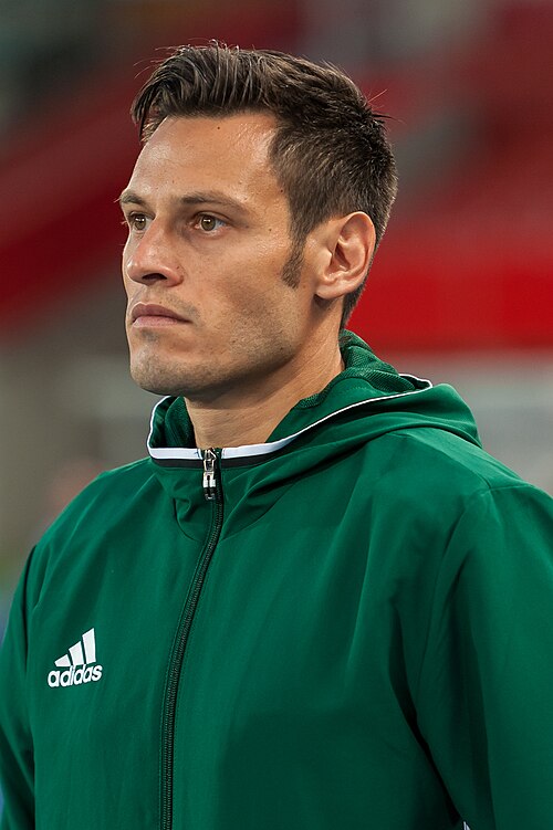 Maurizio Mariani