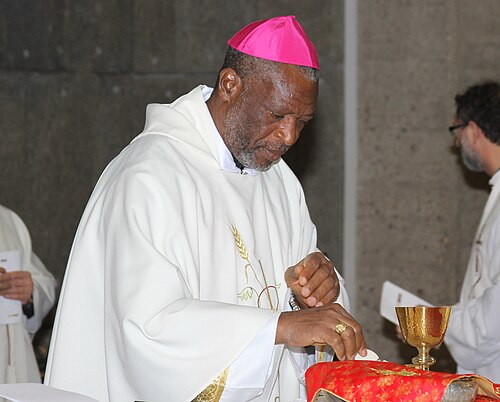 Joseph Danlami Bagobiri
