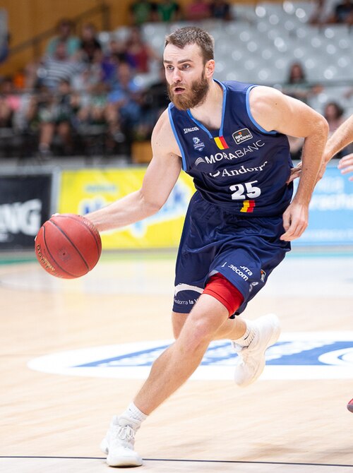 David Jelínek