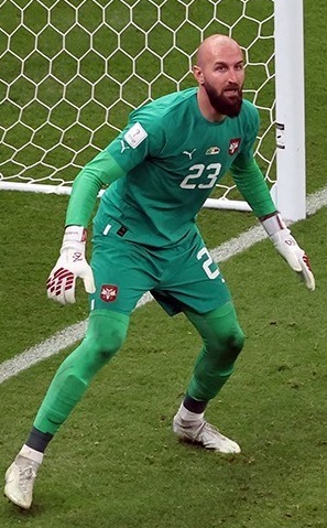Vanja Milinković-Savić