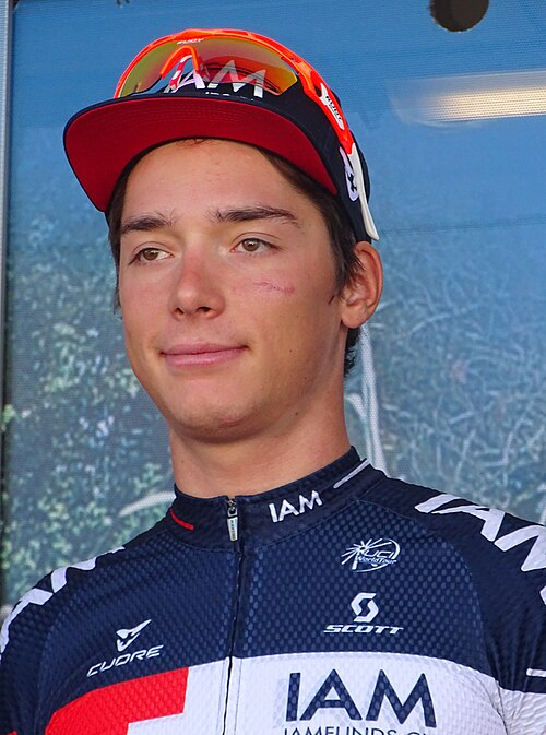 Simon Pellaud