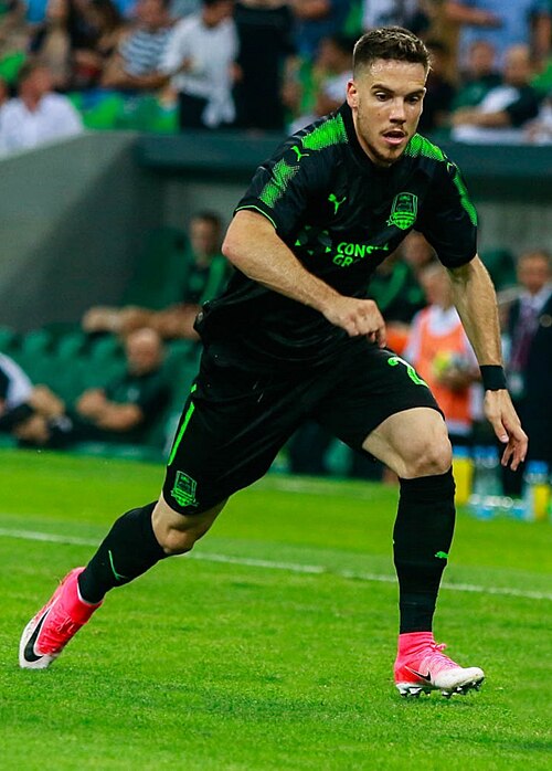 Mihailo Ristić