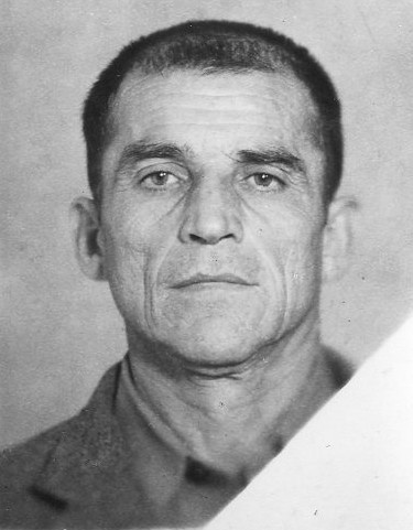 Musa Mamut