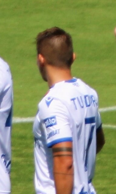 Fran Tudor