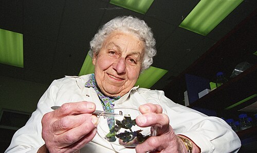 Ella Orr Campbell