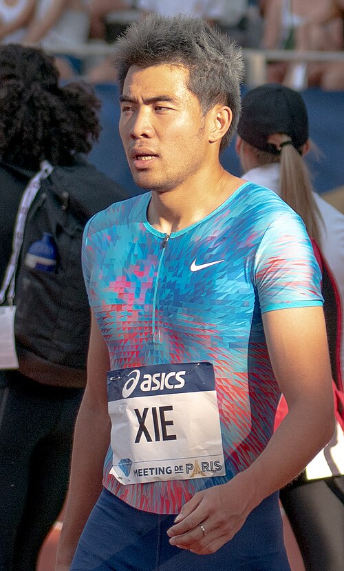 Xie Wenjun