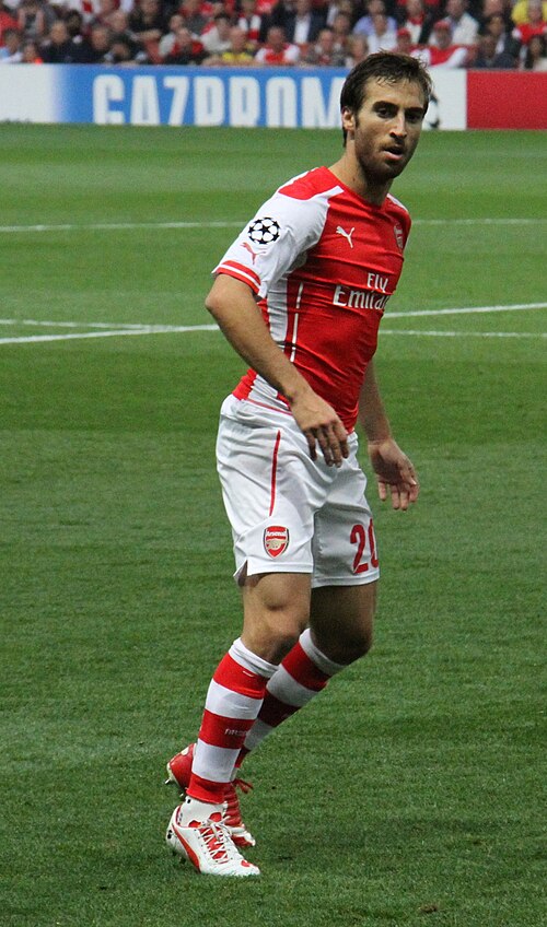 Mathieu Flamini
