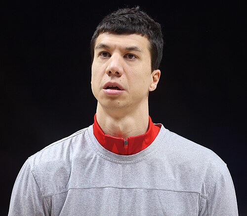 Vladimir Lučić