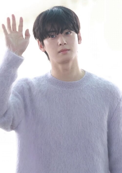 Cha Eun-woo