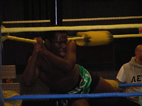 Rich Swann