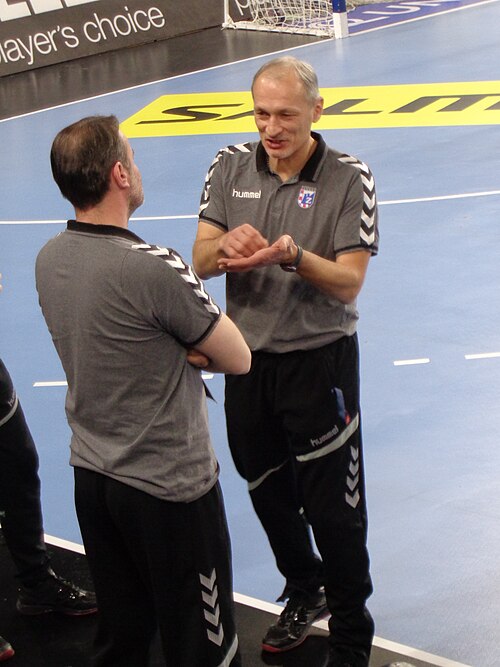Vladimir Jelčić
