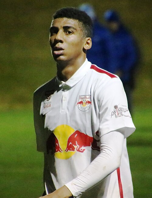 Bernardo Fernandes da Silva Junior
