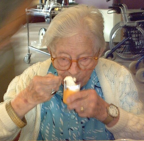 Hendrikje van Andel-Schipper
