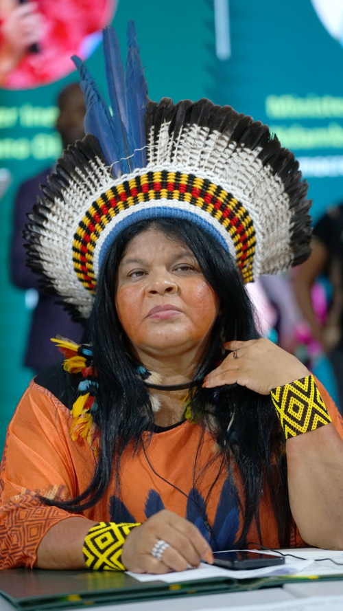 Sônia Guajajara