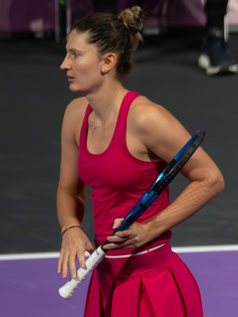 Irina-Camelia Begu