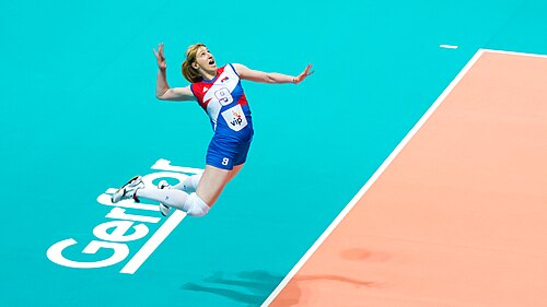 Brankica Mihajlović