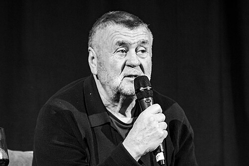 Rajko Grlić