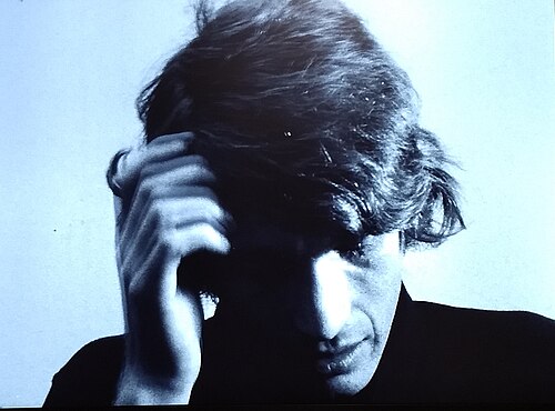 Bas Jan Ader