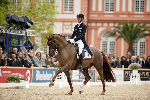 Sönke Rothenberger