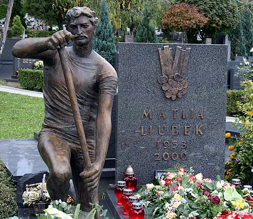 Matija Ljubek