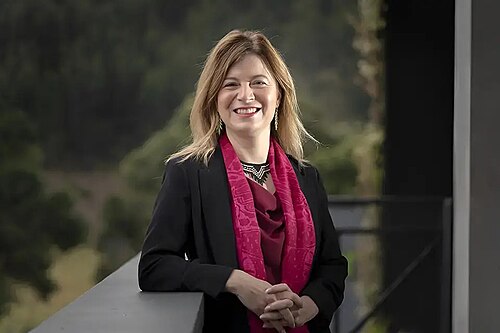 Bibiana Aído