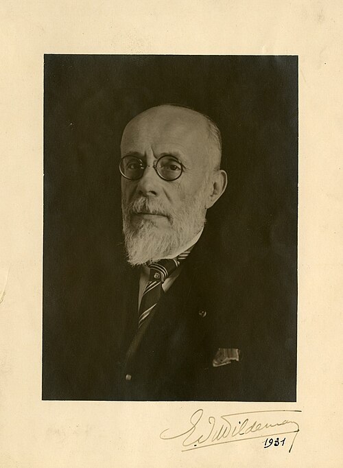Émile Auguste Joseph De Wildeman