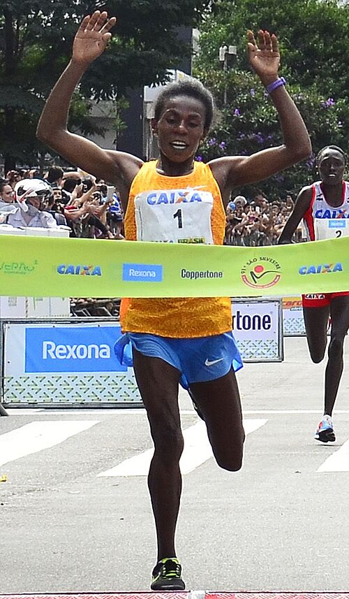 Wude Ayalew