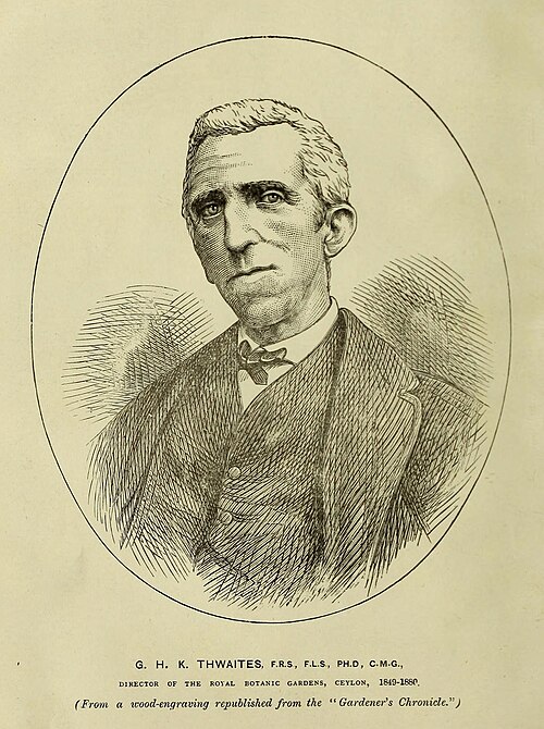 George Henry Kendrick Thwaites