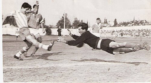 Nahum Stelmach