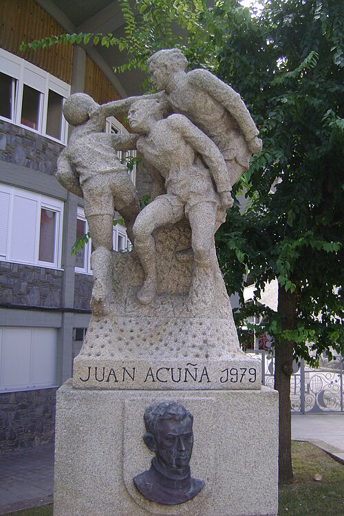 Xoán Acuña Naya